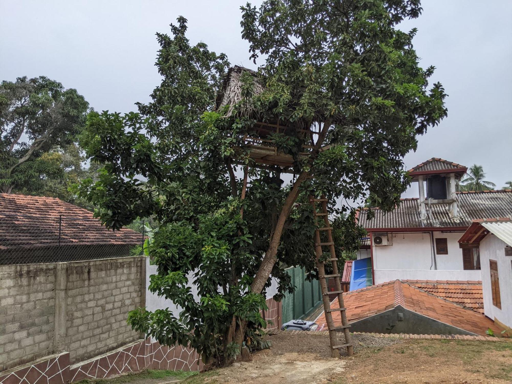 Serendip Villa Holiday Home Talalla Sri Lanka Стая снимка